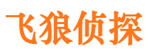 大田市私家侦探